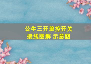 公牛三开单控开关接线图解 示意图